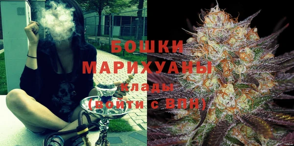 шишки Володарск
