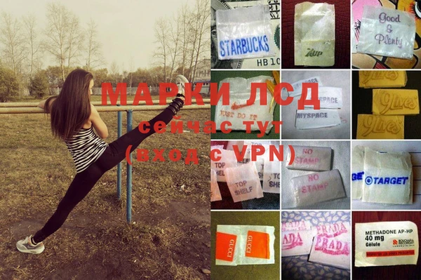 MESCALINE Верея