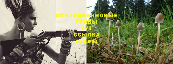 шишки Володарск